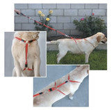 No-Pull Training Harness Small Breeds